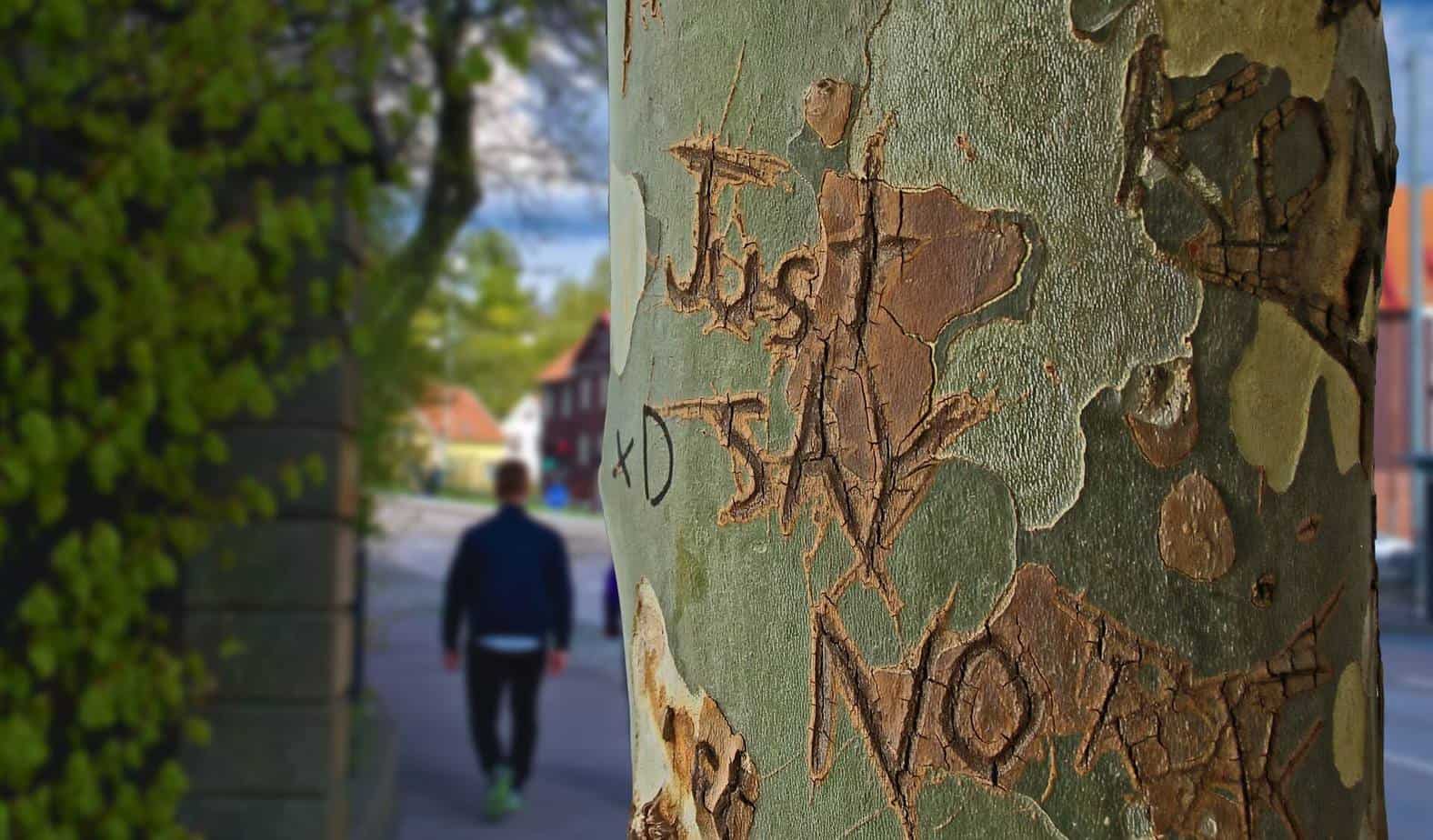 Just say no written on tree trunk